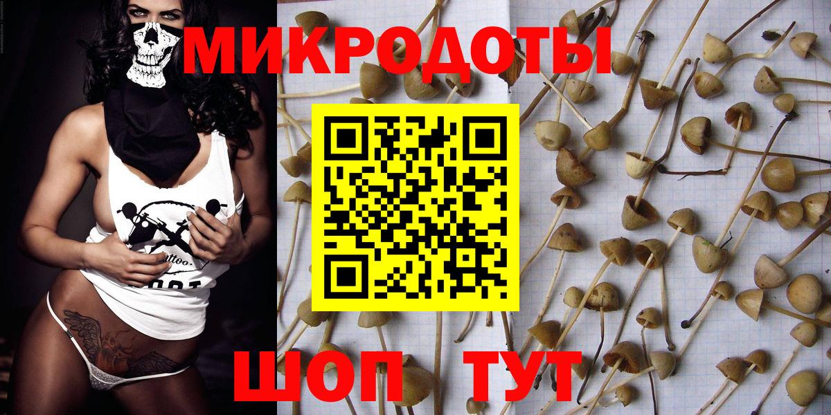 Галлюциногенные грибы Psilocybine cubensis  Вход с VPN  Семилуки  Псилоцибиновые грибы Psilocybine cubensis 