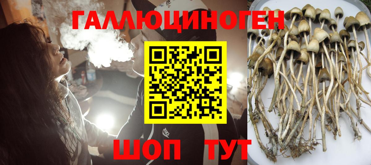 Галлюциногенные грибы мицелий Семилуки